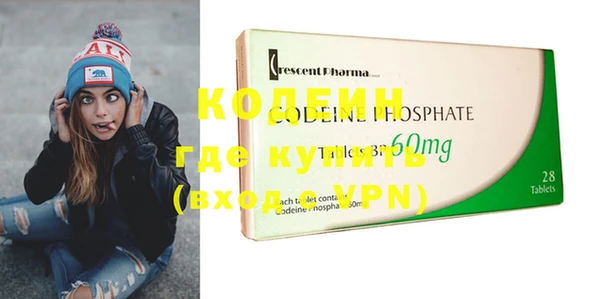 прущие грибы Абаза