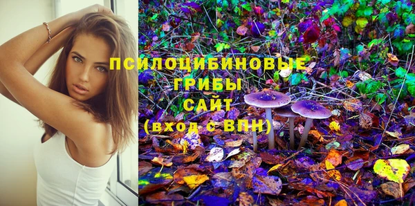прущие грибы Абаза