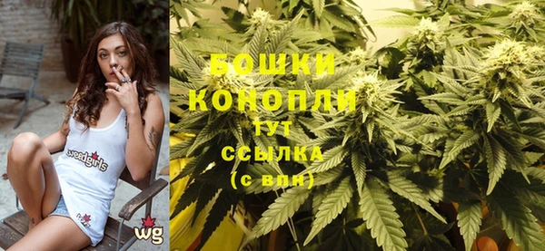 PSILOCYBIN Ижевск